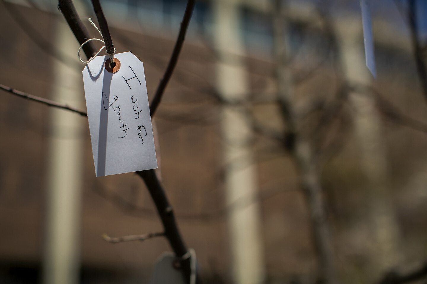 Wish_Tree_Tag