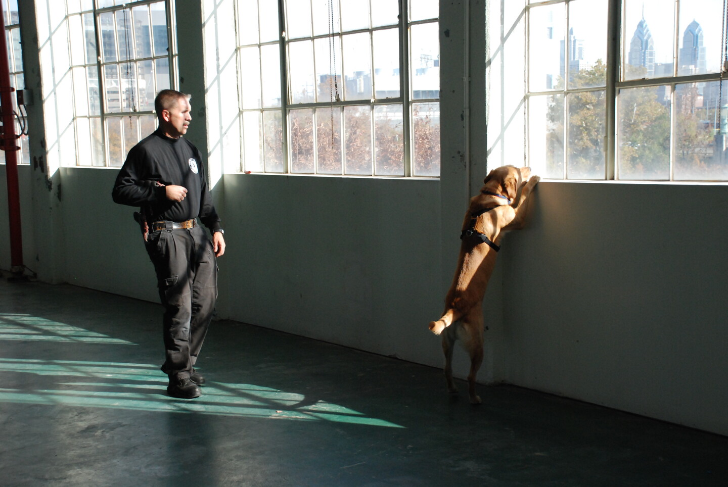 police_dog