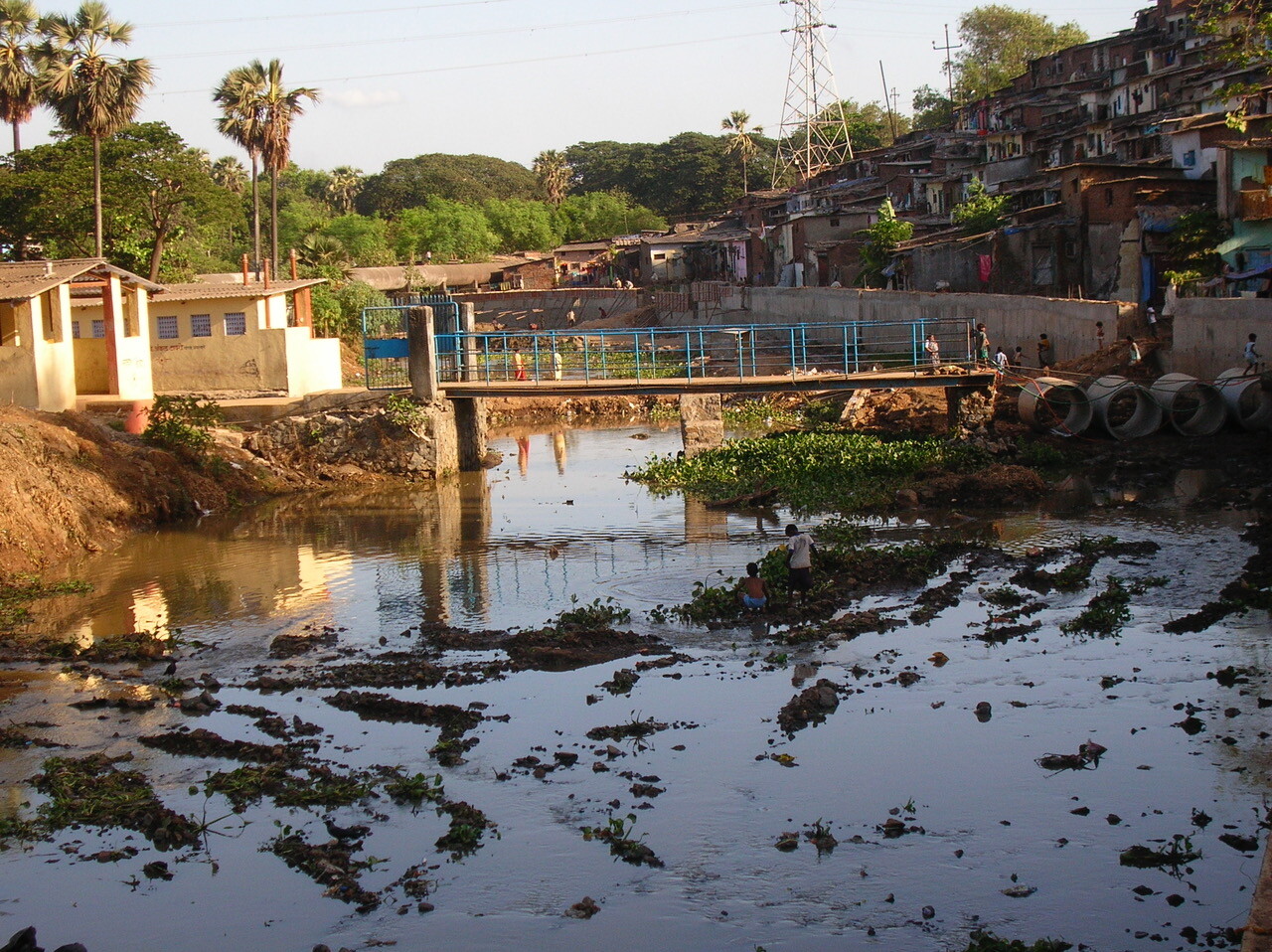 Rising Waters Initiative
