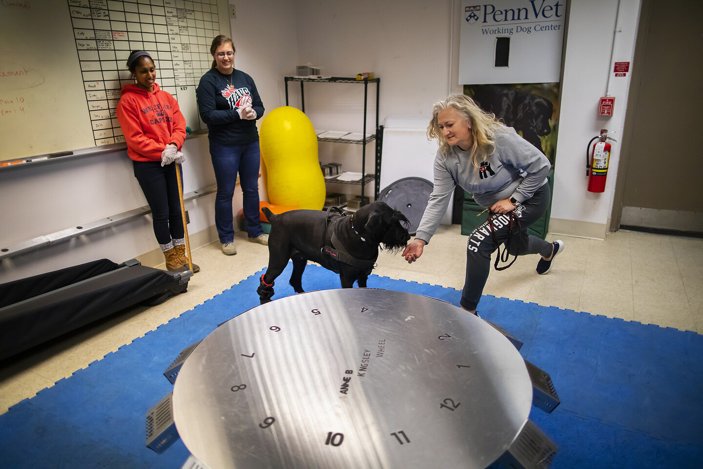 Challah, a black giant schnauzer, interacts with her owner as two others look on. They are in front of a large wheel with 12 numbered slots.