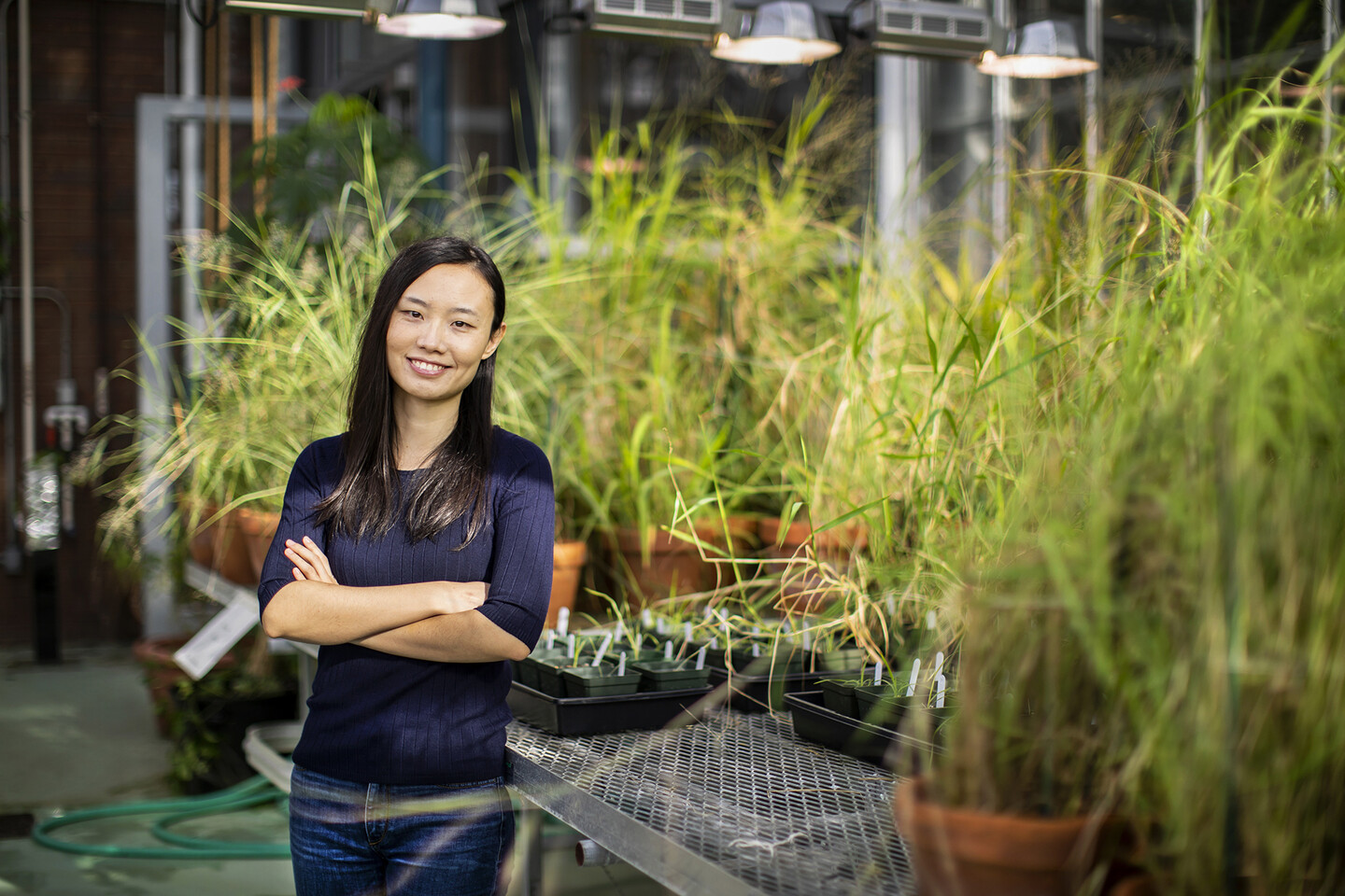 Haoran Zhou stands with arms crossed leaning against a table covered with grasses growing in pots.