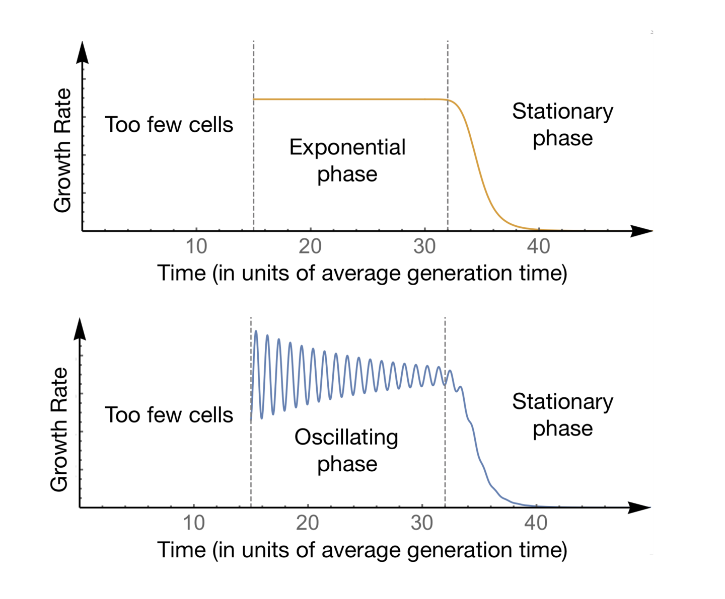 two graphs showing growth rate models in bacteria: the top graph shows a flat growth rate before reaching a stationary phase while the bottom graph oscillates up and down rapidly before decreasing in the stationary phase
