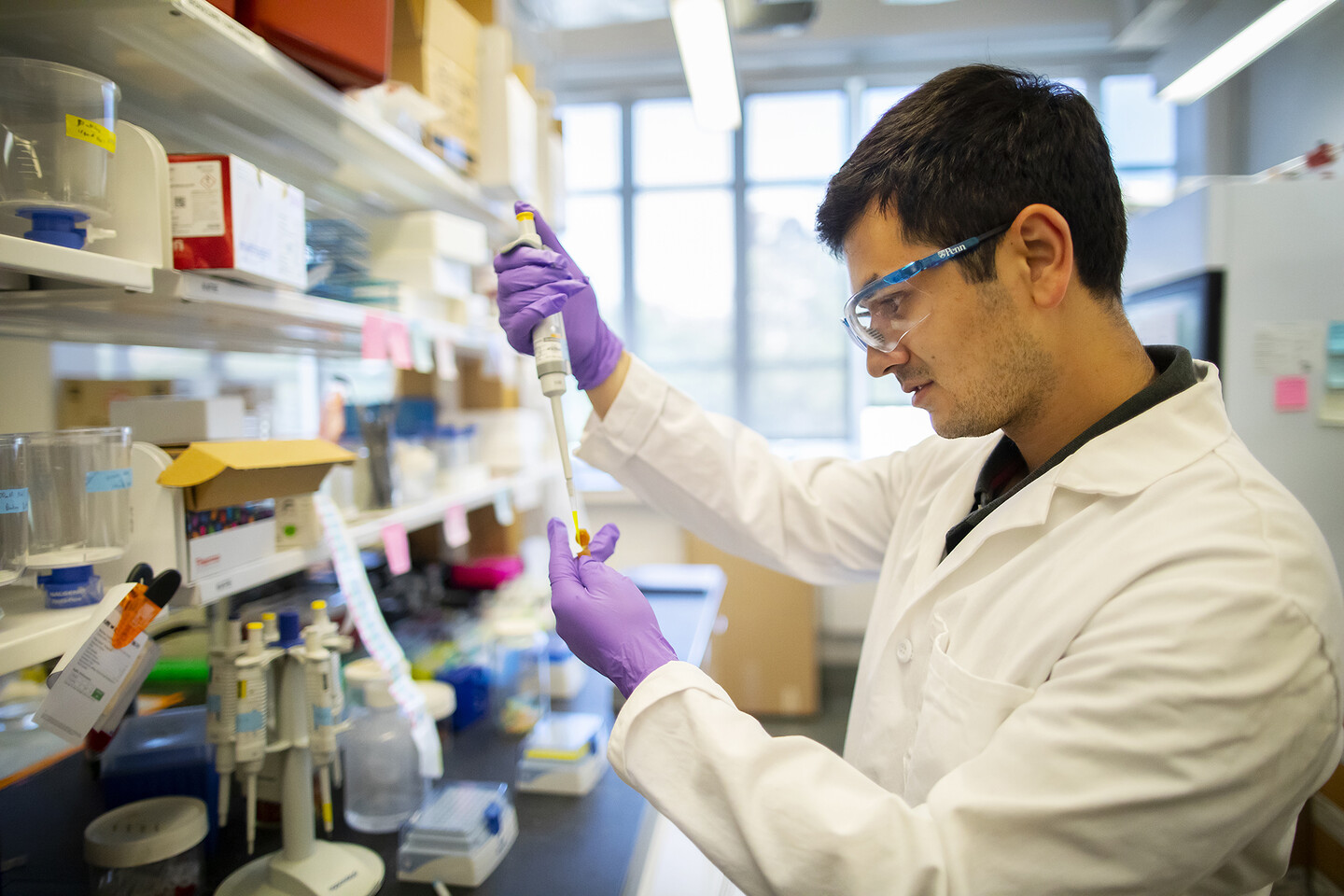 a person in a lab pipetting a colored solution 