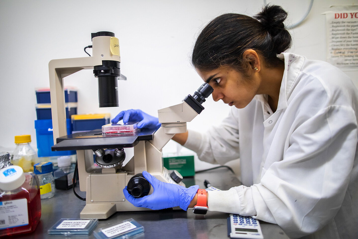 lab tech at a microscope