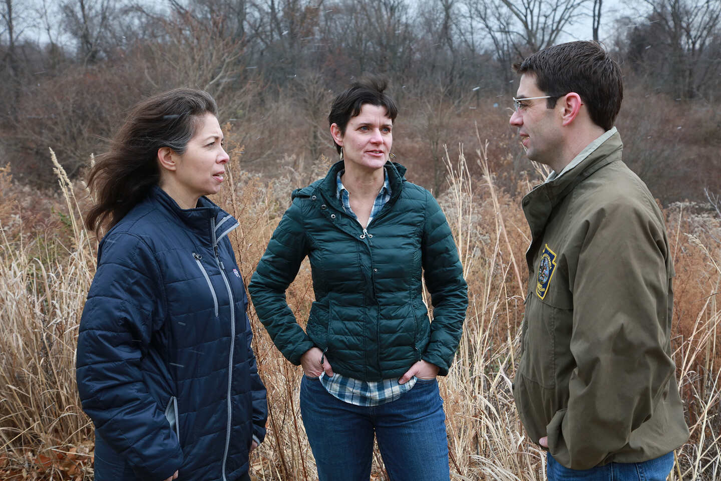 Ellis, Murphy, and Schnupp