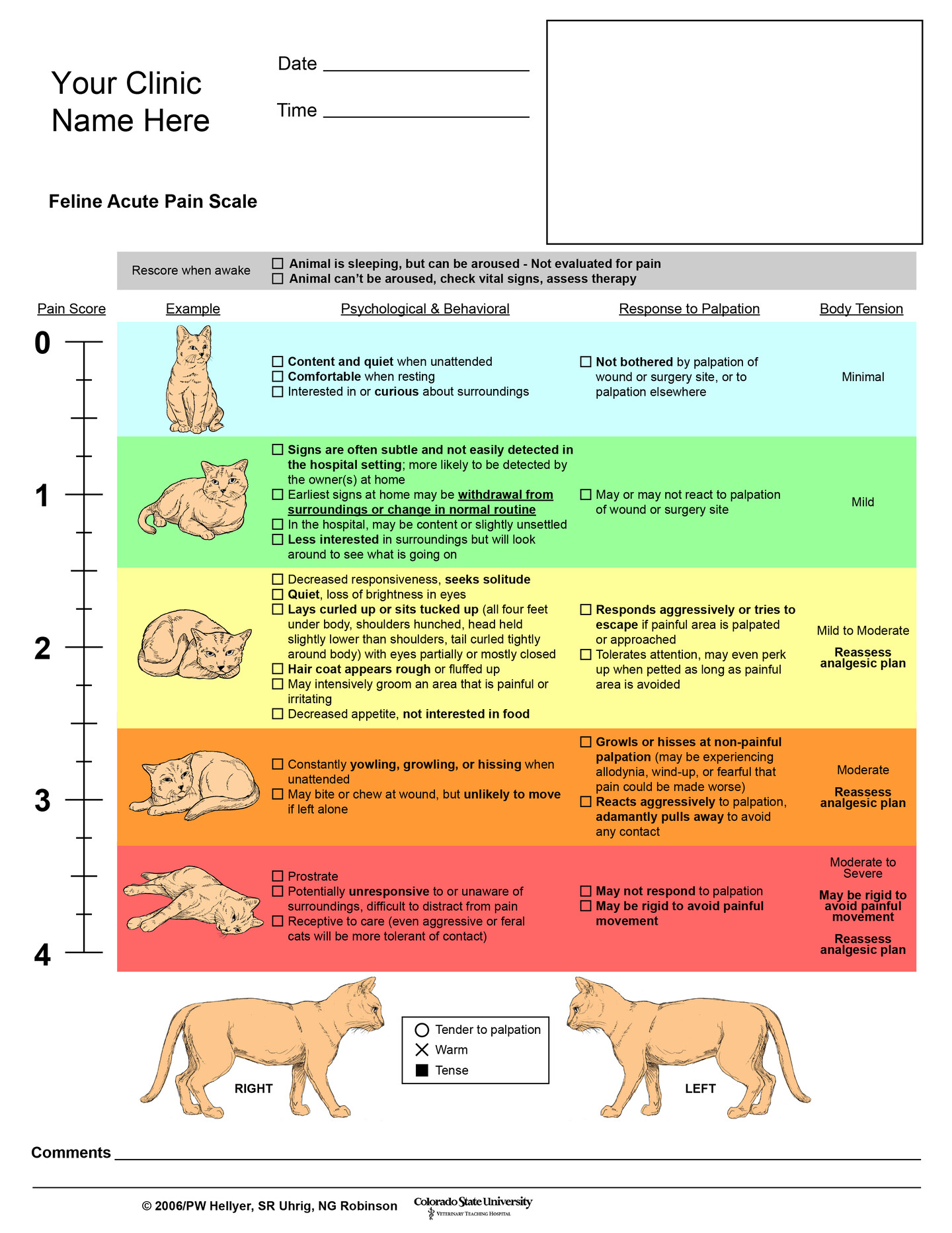 pain scale for cats