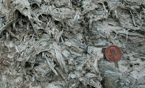 a U.S. penny is displayed on shreds of asbestos material that is similar in size to landscaping wood mulch