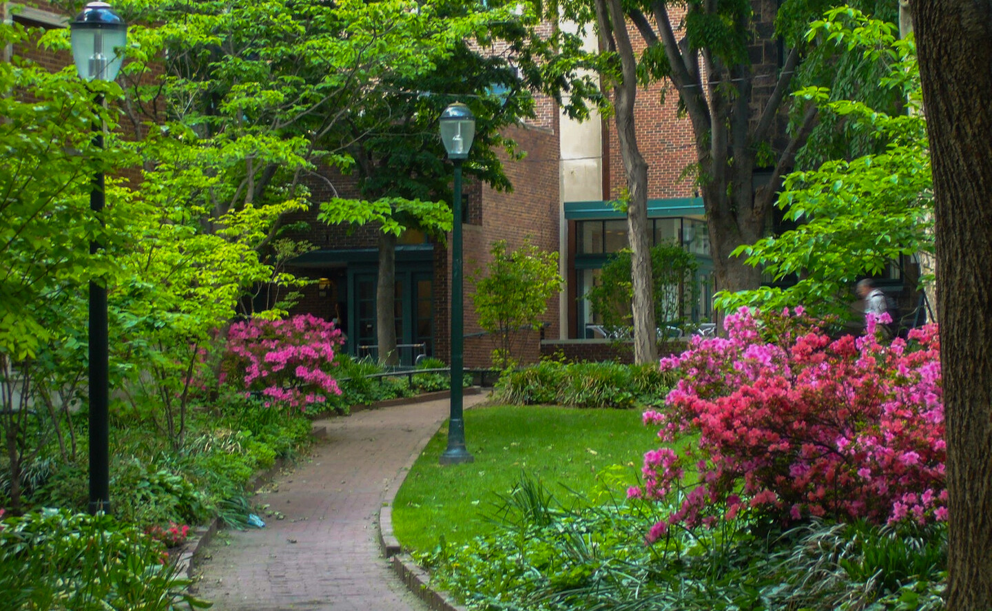 Grad Center exterior with flowers blooming