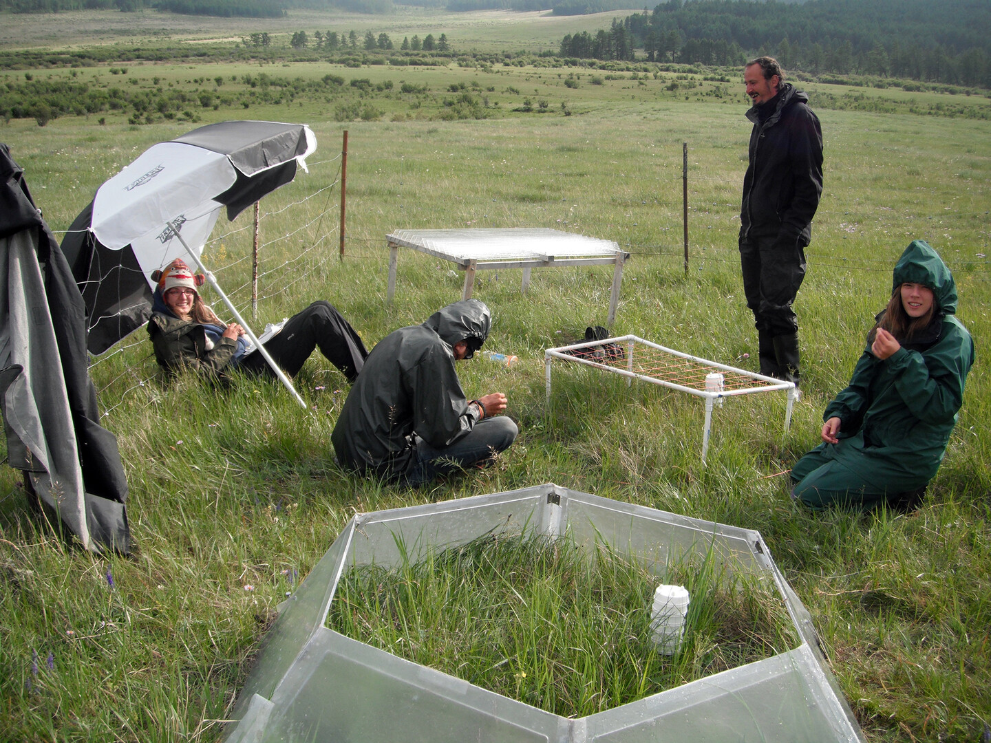 research in mongolia
