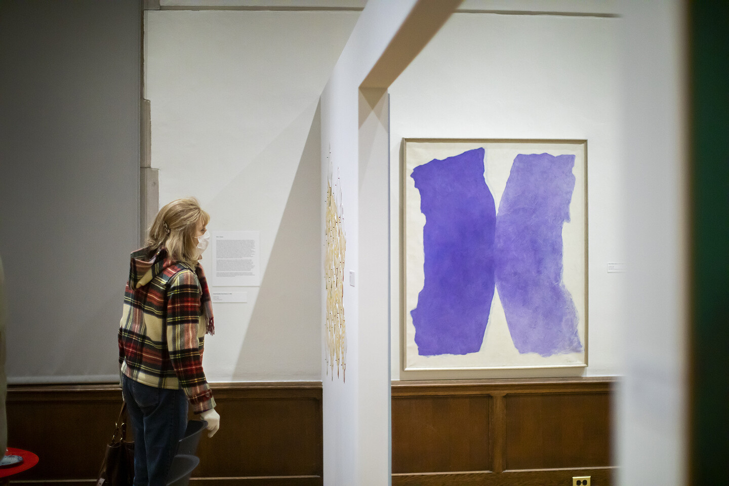 artwork on wall in gallery with person looking at it