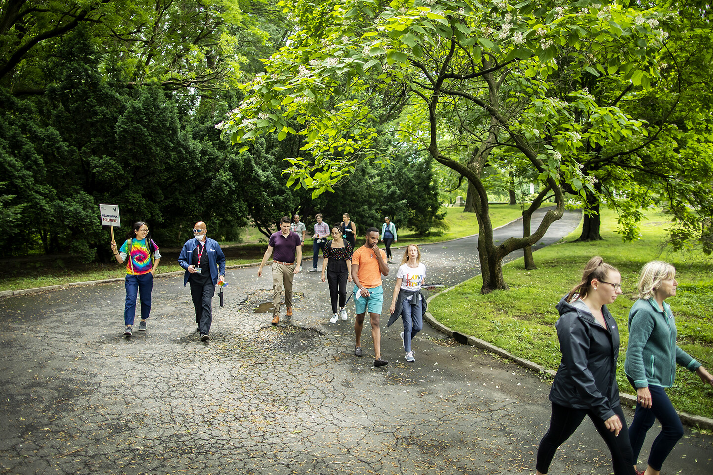 A group of people round the corner on a wooded walk