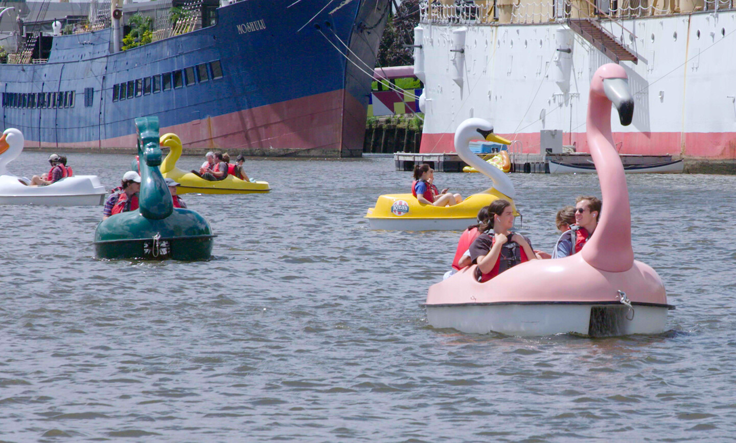 People in duck and flamingo pedal boats and two large ships in the distance.
