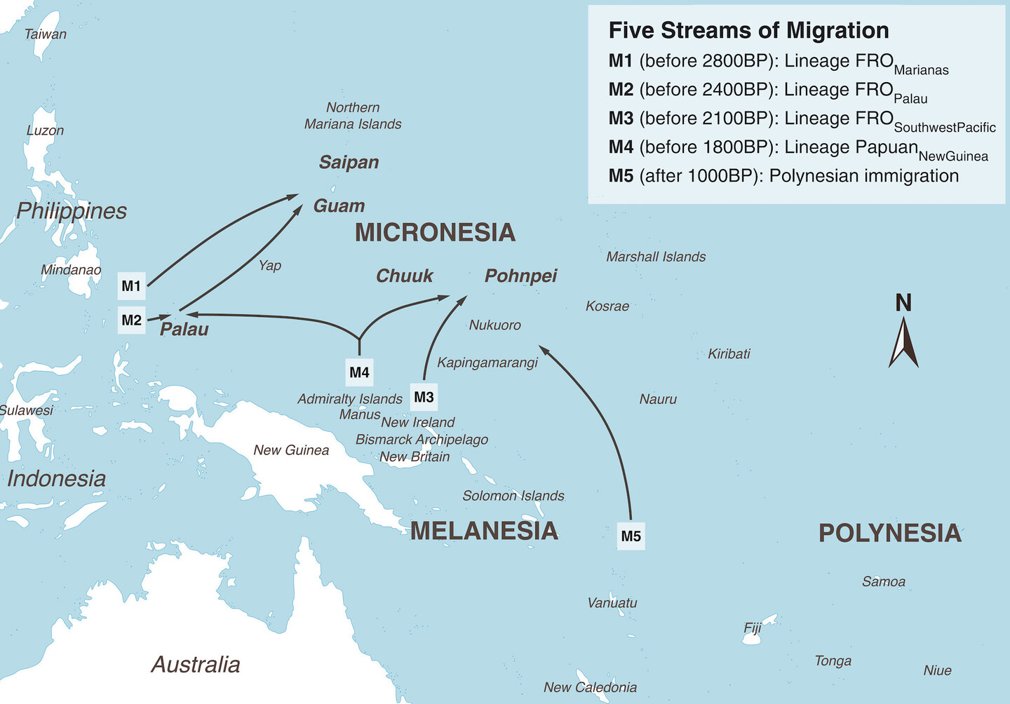 A map of the Pacific Ocean. Australia is in the bottom-left corner, with Indonesia and New Guinea to the north. Also pinpointed are Polynesia, Melanesia, and Micronesia, with arrows signifying five migration paths designated M1, M2, M3, M4, and M5. M1, M2, and M4 originate in East Asia. M3 originates around New Guinea, and M5 originates between Polynesia and Melanesia.