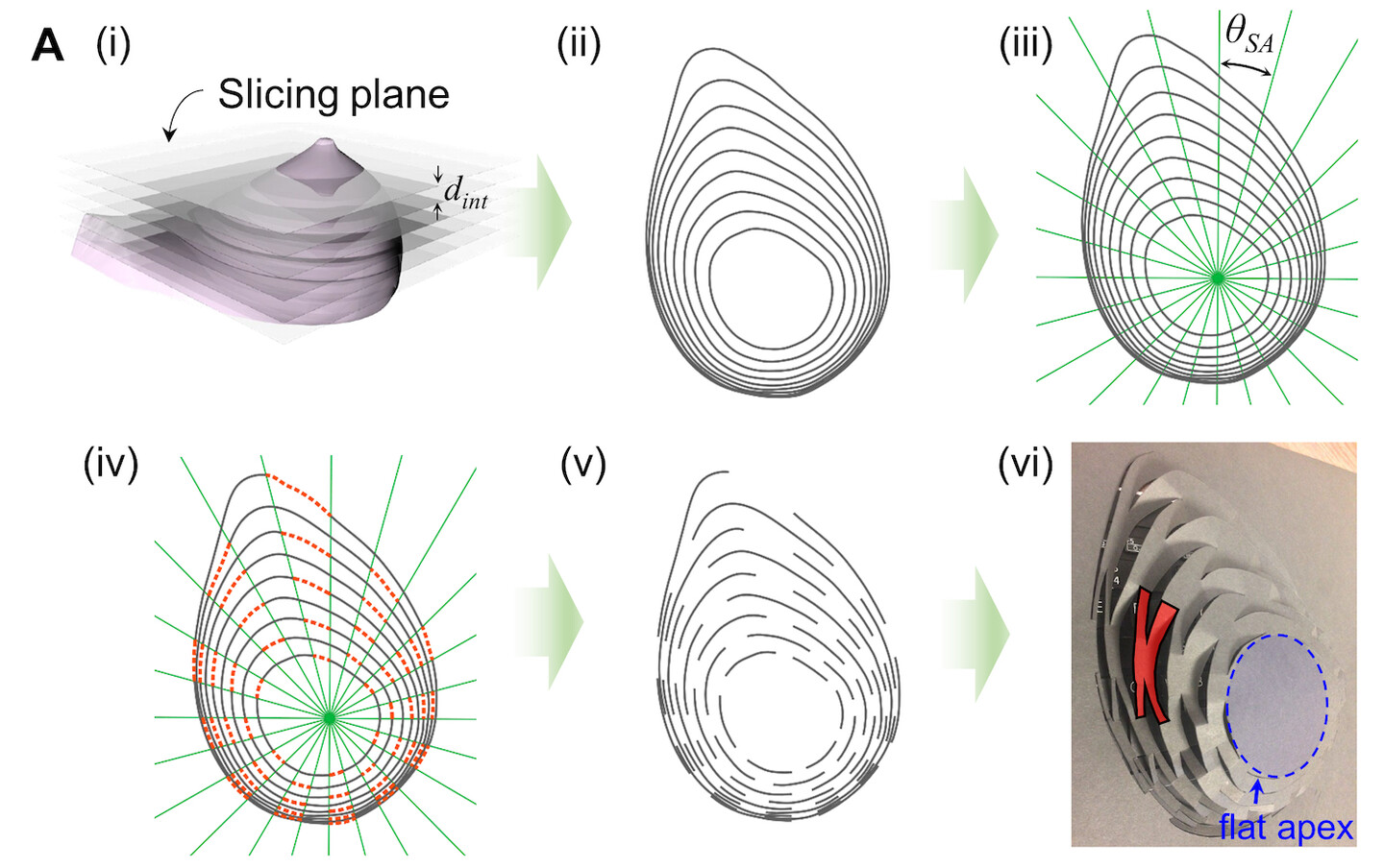 3D rendering of a contoured structure