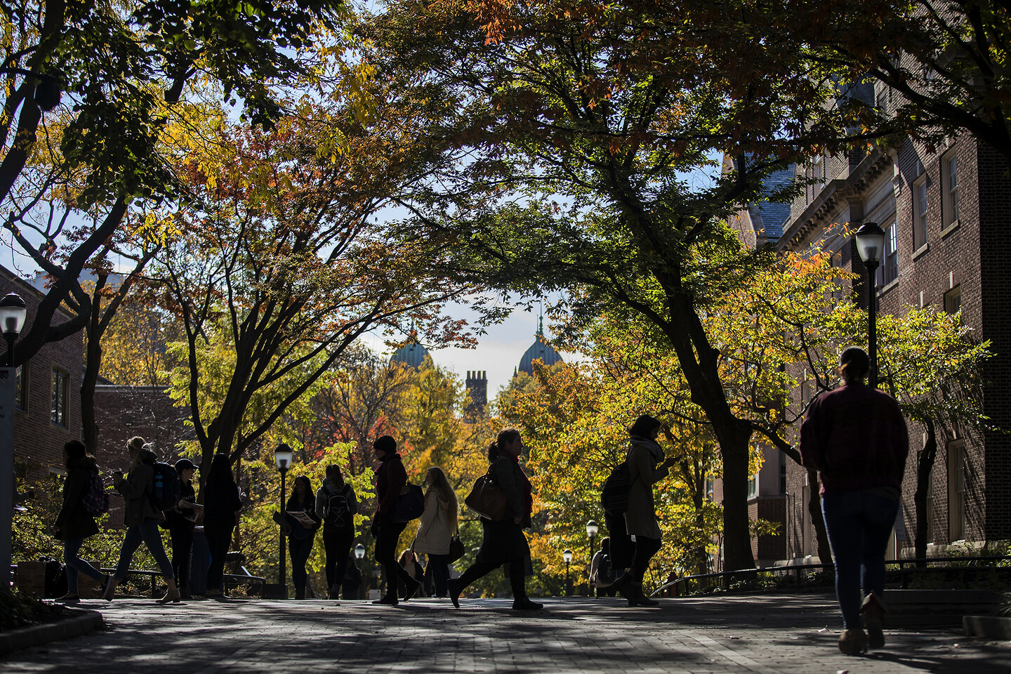 Locust Walk in autumn.