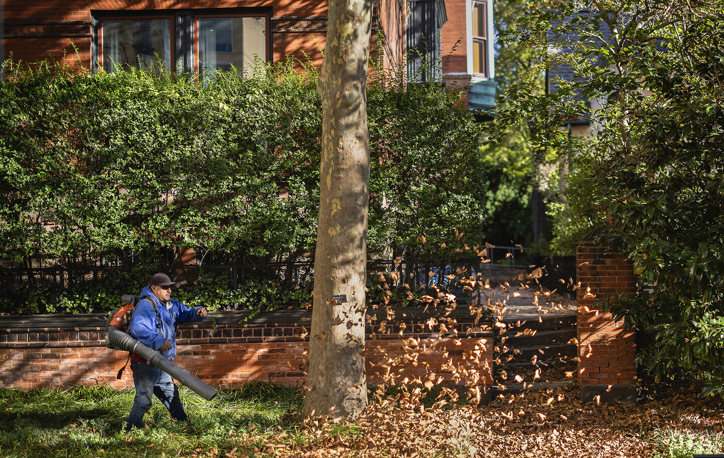 penn fres with a leaf blower