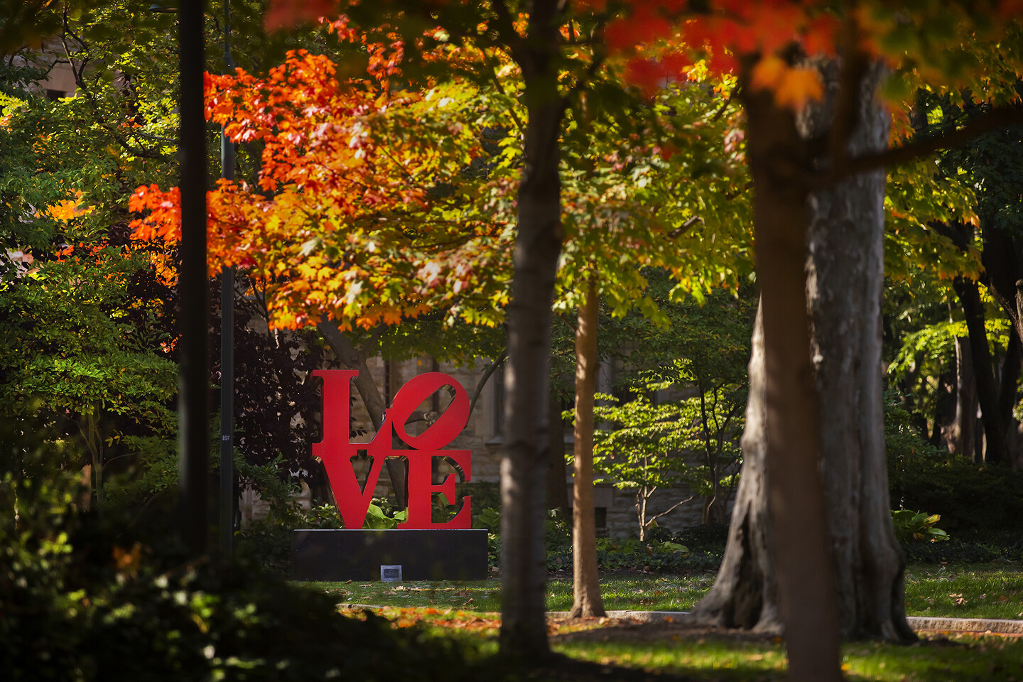 Robert Indiana’s LOVE statue on Penn’s College Green in autumn.