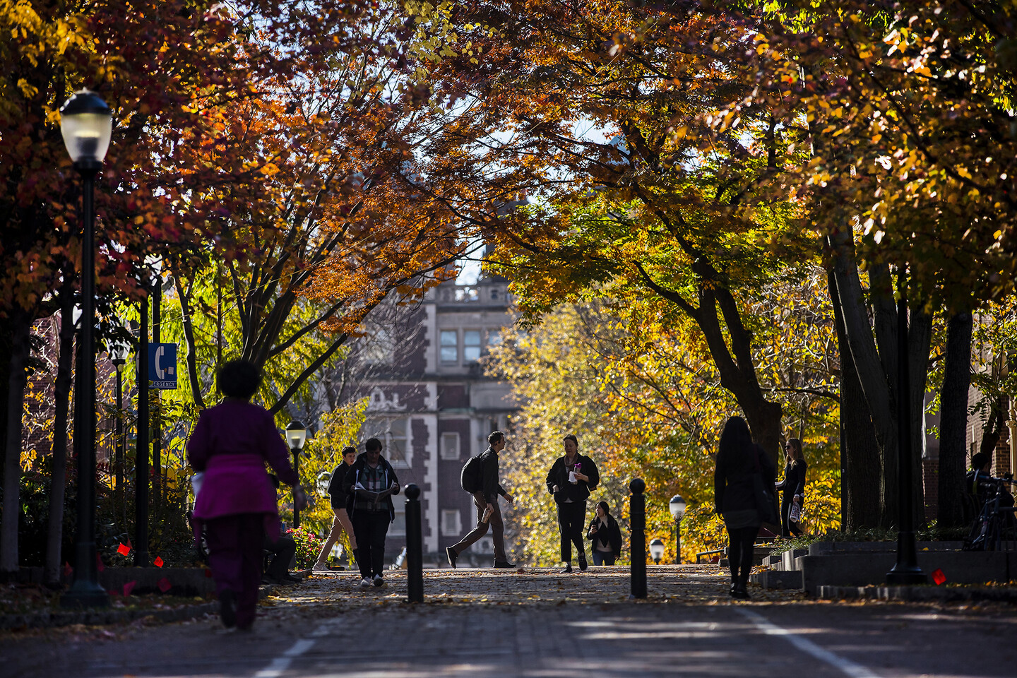 People walking along Locust Walk in autumn.