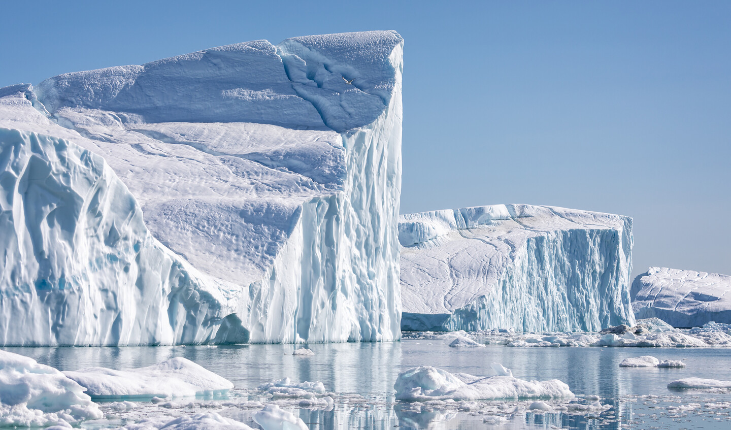 Icebergs in Greenland.