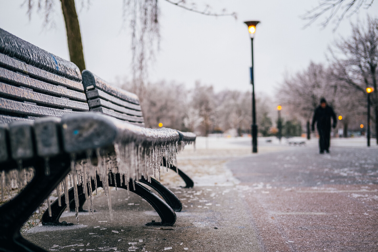 An icy bench in a city.