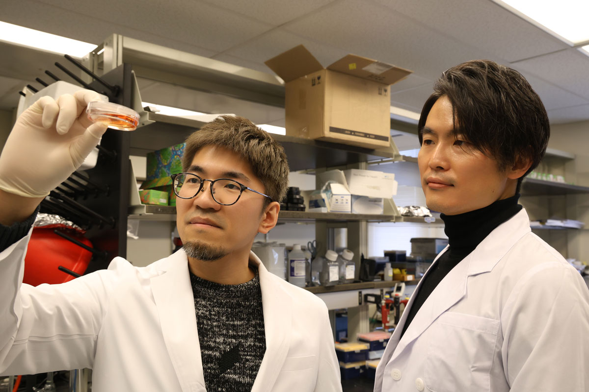 Michinori Mayama (left) is showing a culture dish to Kotaro Sasaki (right) in a lab. 