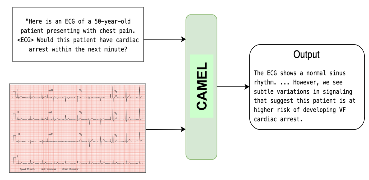 Illustration of an AI model's heart forecasting capability.
