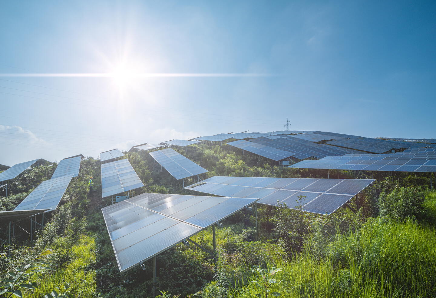 Sunshine and solar panels.