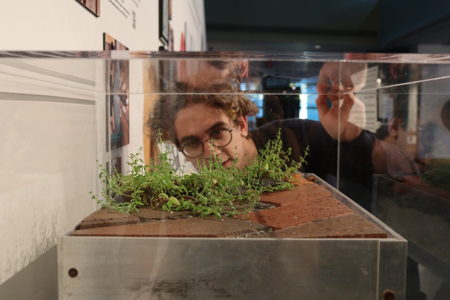 Person looks at basin in museum exhibit.