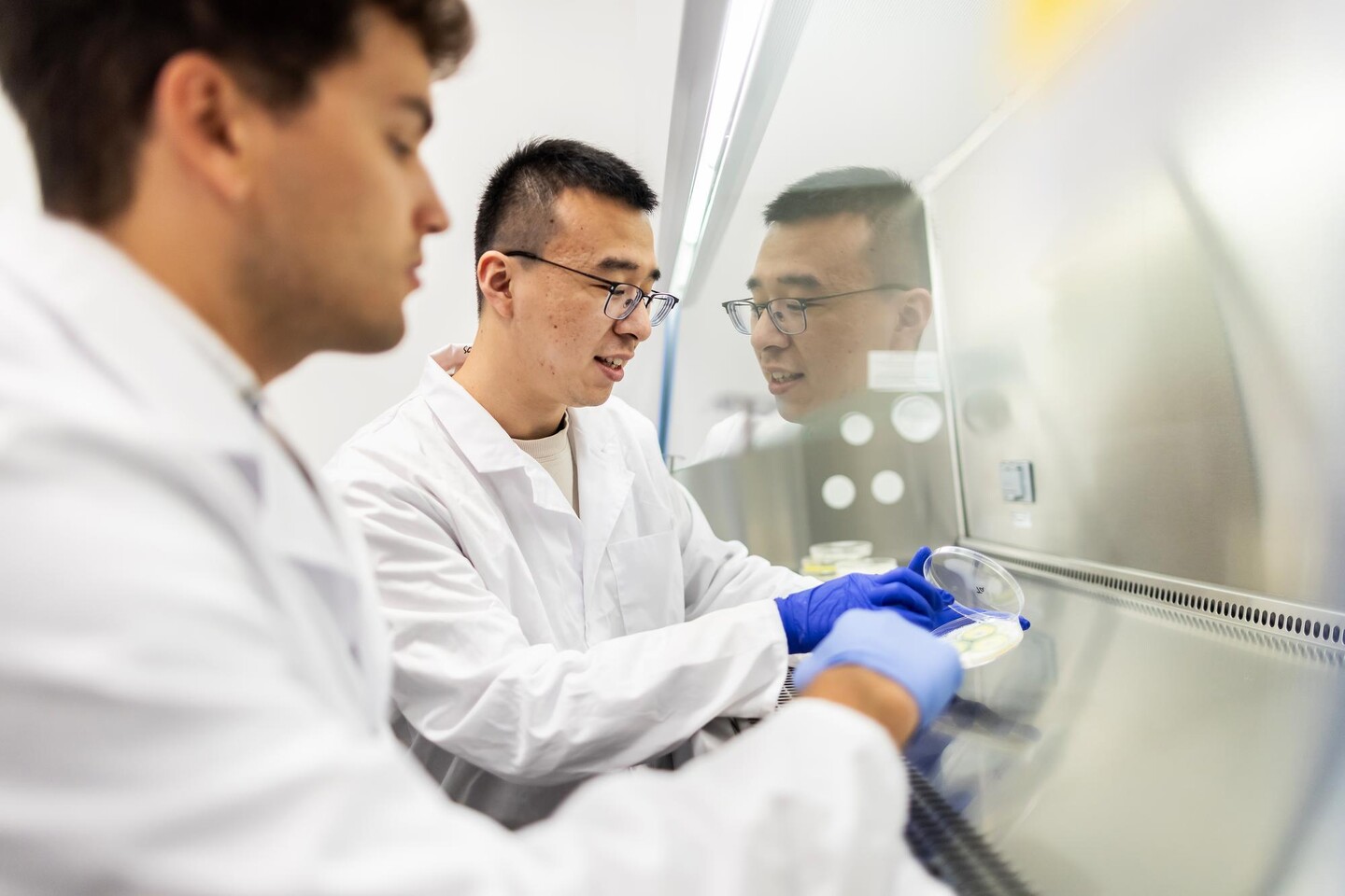 Chunxiao Sun holding a fungal sample on a petri dish.