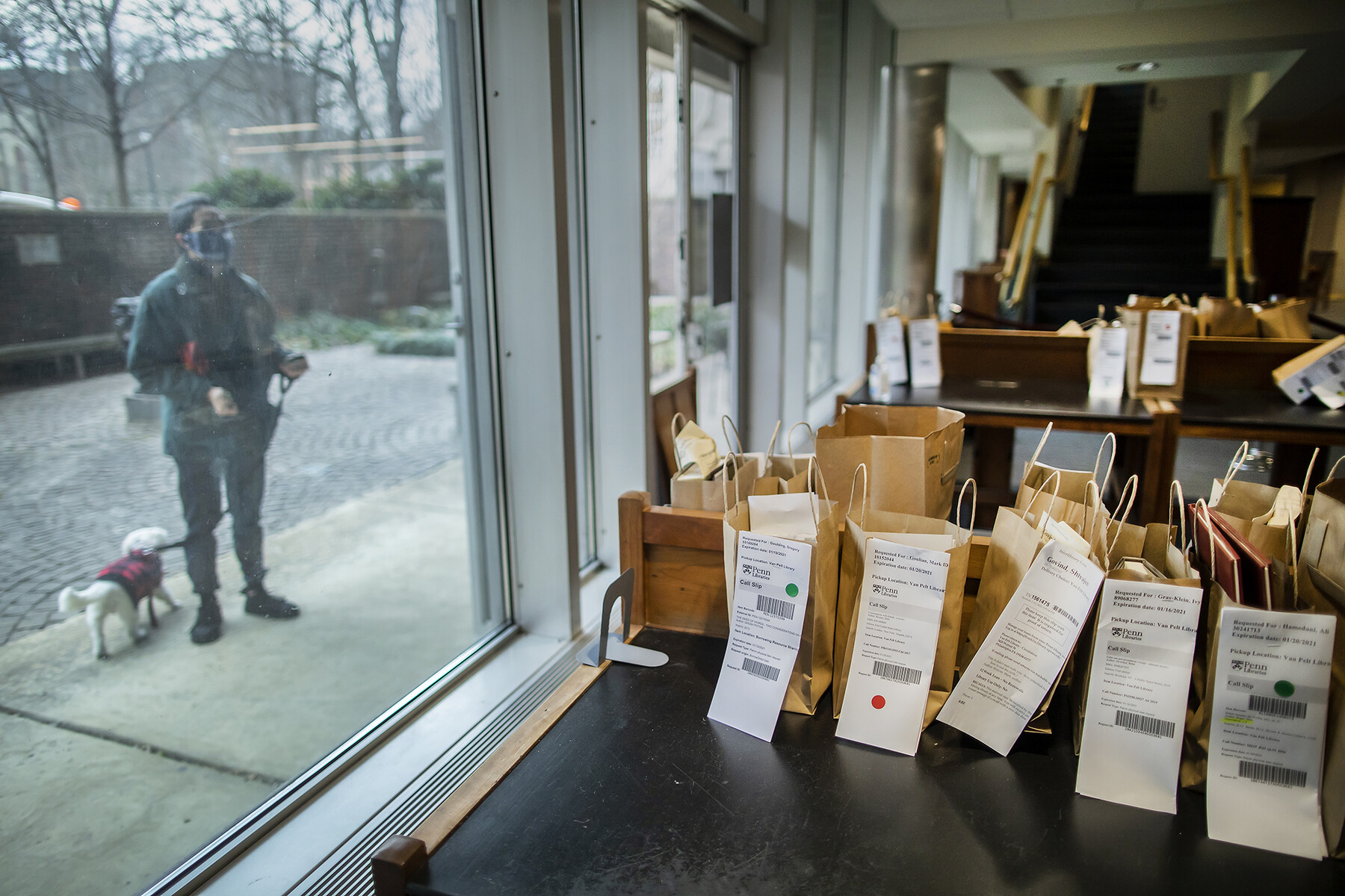 Tables inside Van Pelt library covered in bags of books reserved waiting for pickup, on the other side of the windows stands a person outside walking a dog looking in.