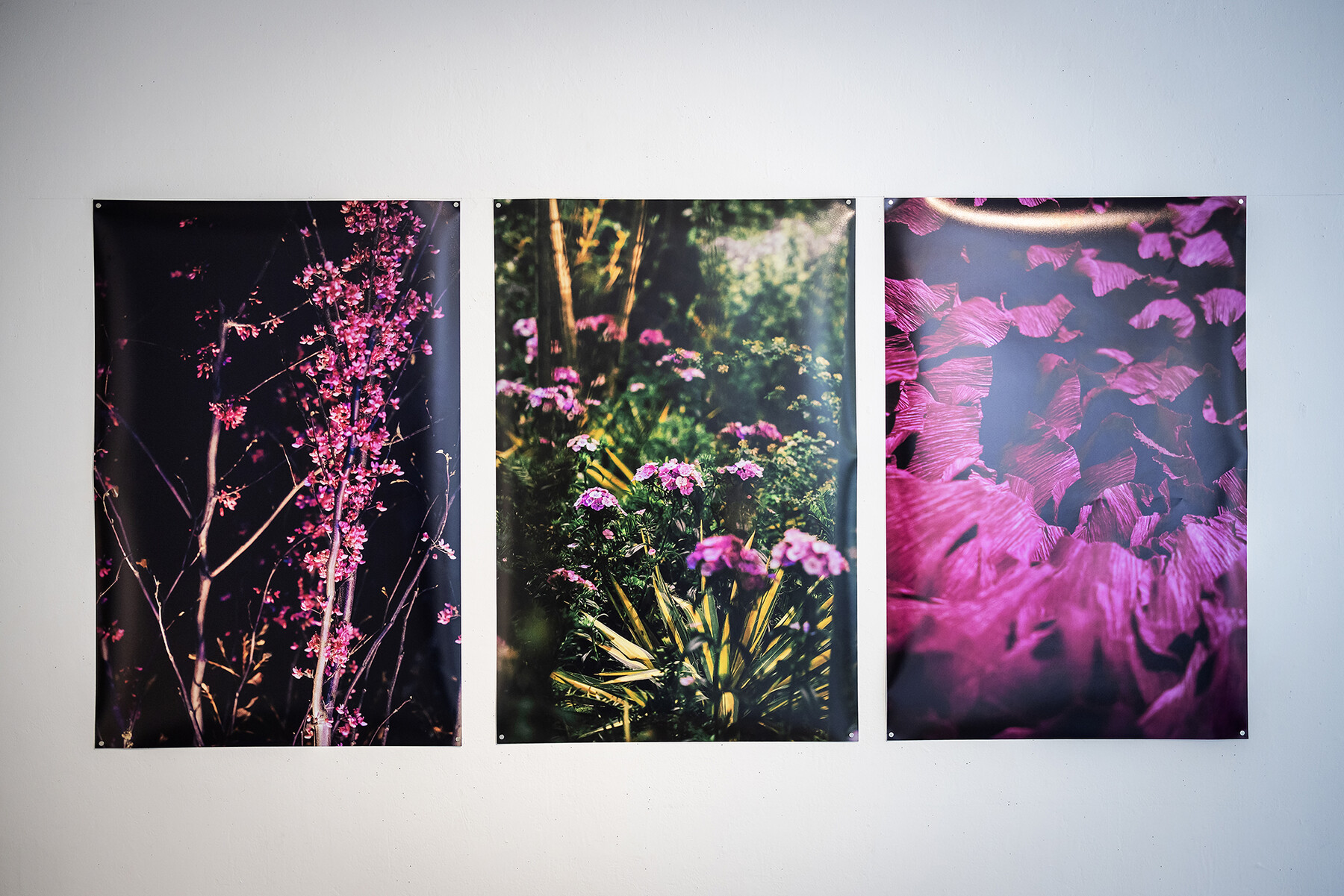 artwork with three images of flowers