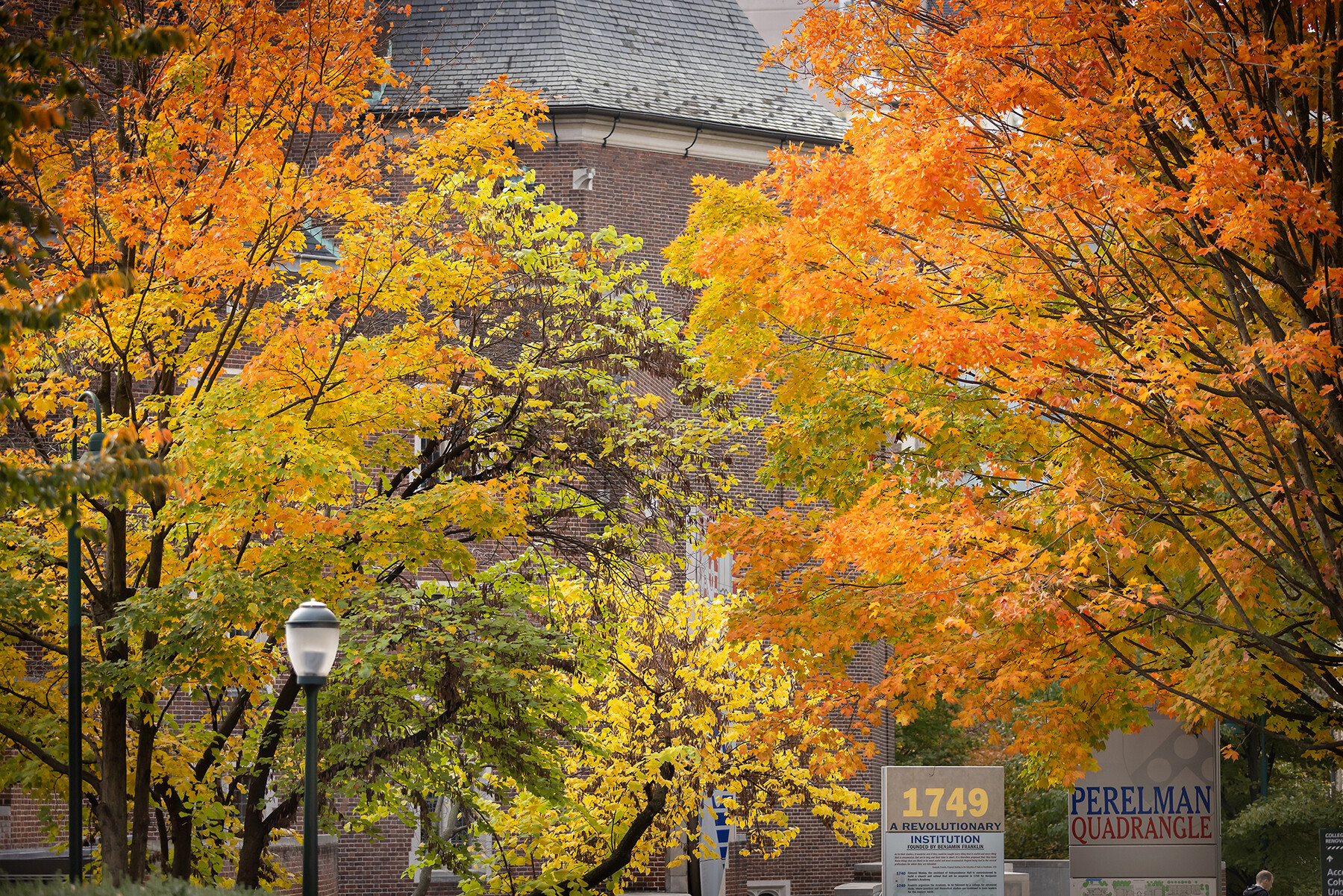 autumn leaves in the perelman quad