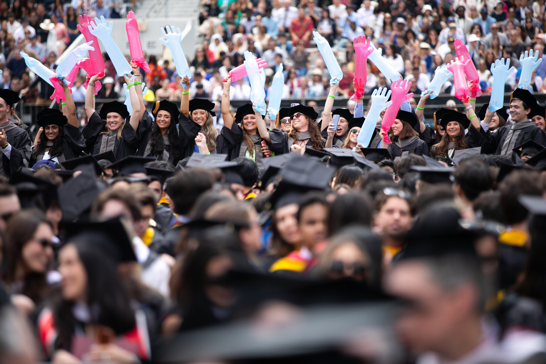 vet school students celebrate at commencement