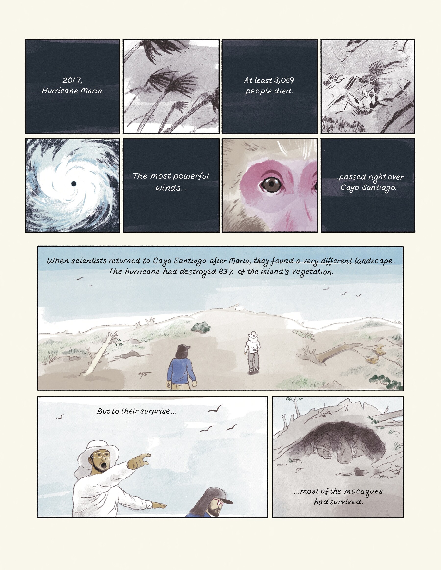 Comic panel depicting ongoing primate research.