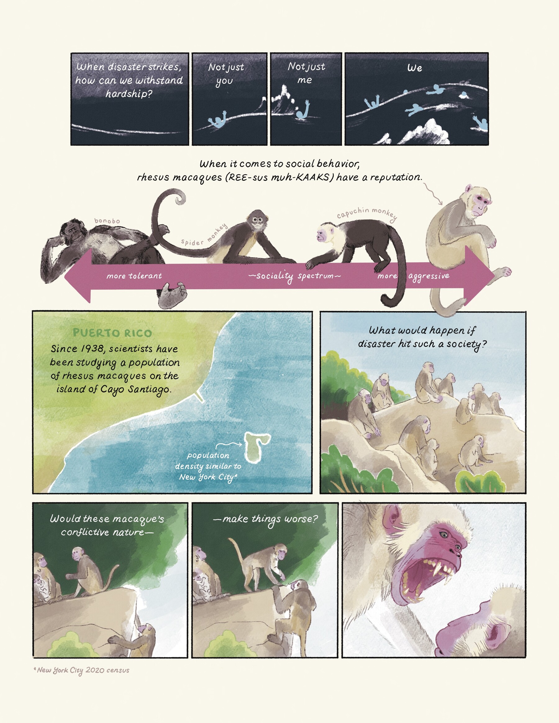 Comic panel depicting ongoing primate research.
