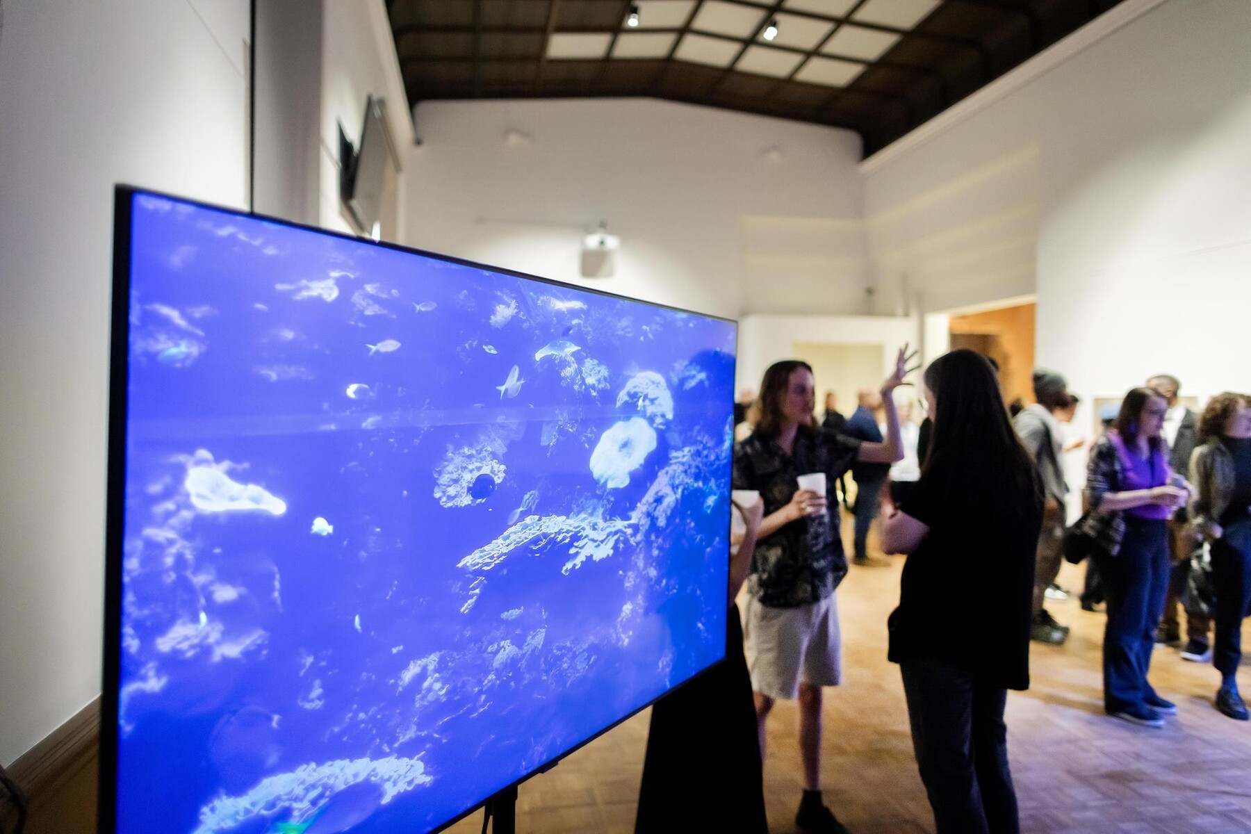 video screen with images of coral
