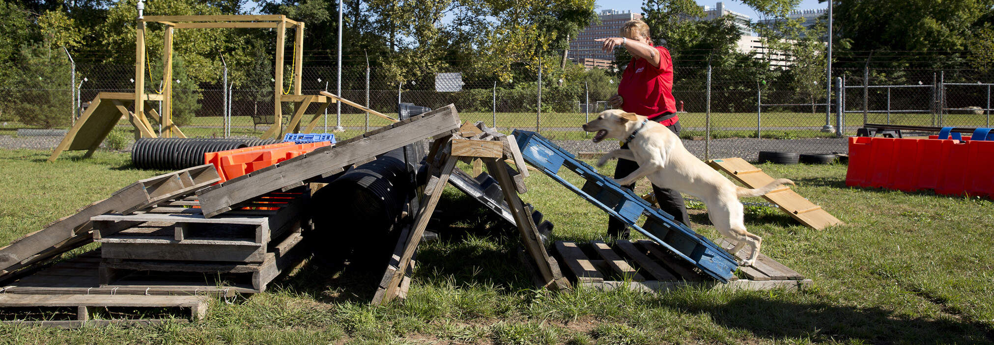 Annemarie DeAngelo helps a dog navigate a tricky route