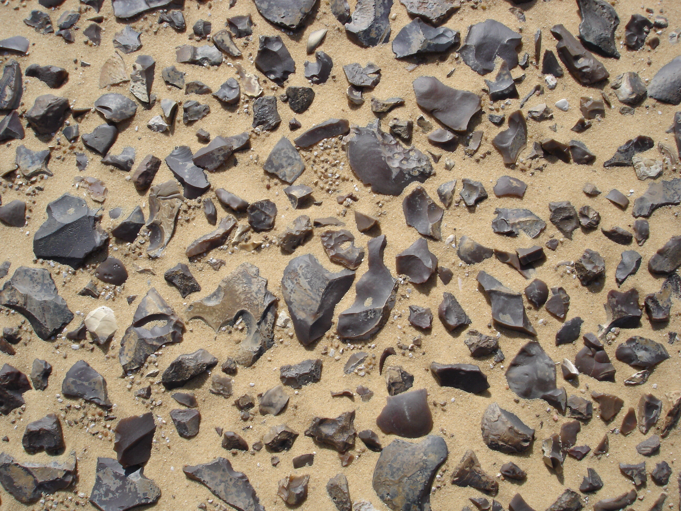 Stone tools in the field