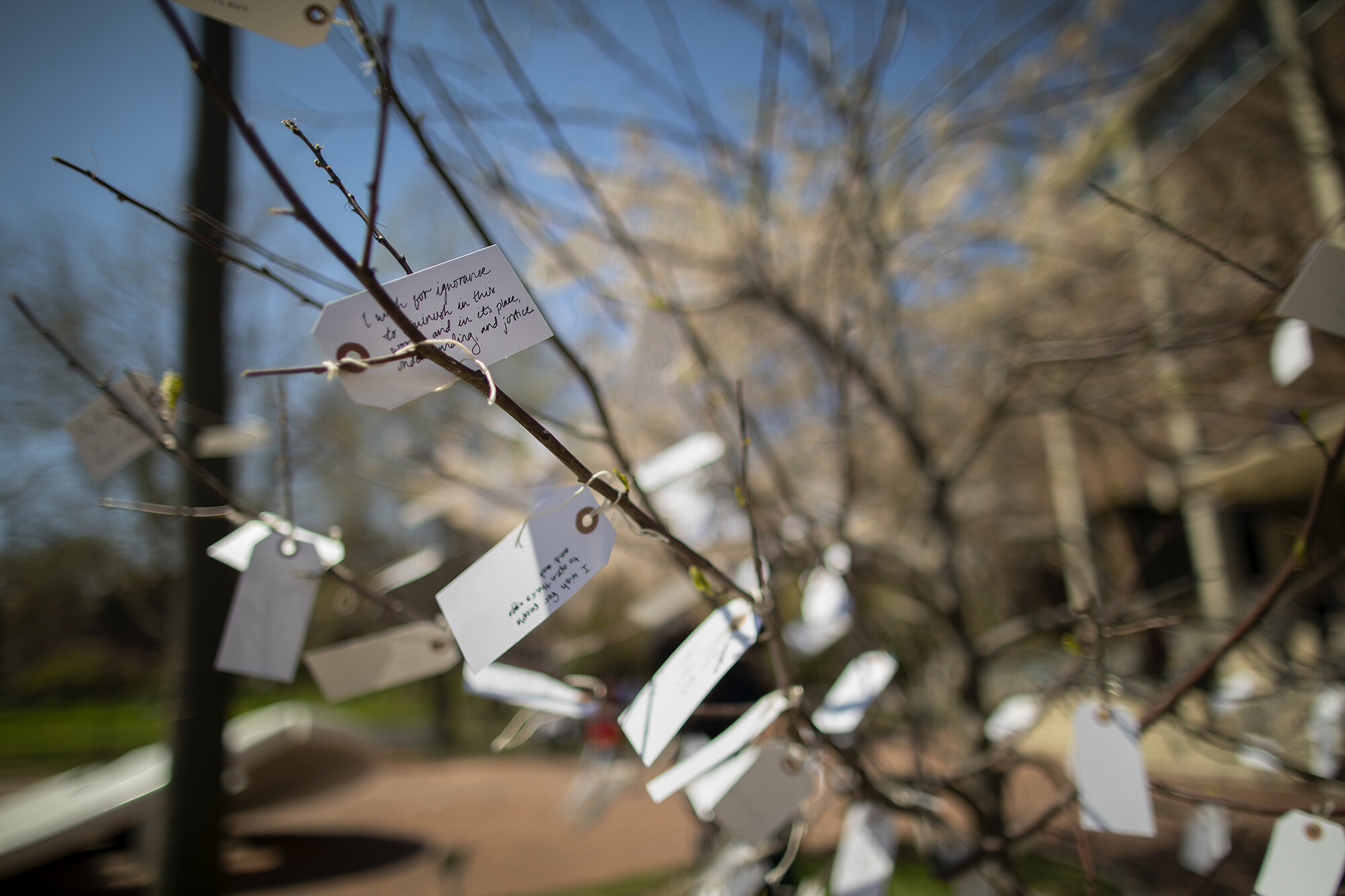 Wish_Tree