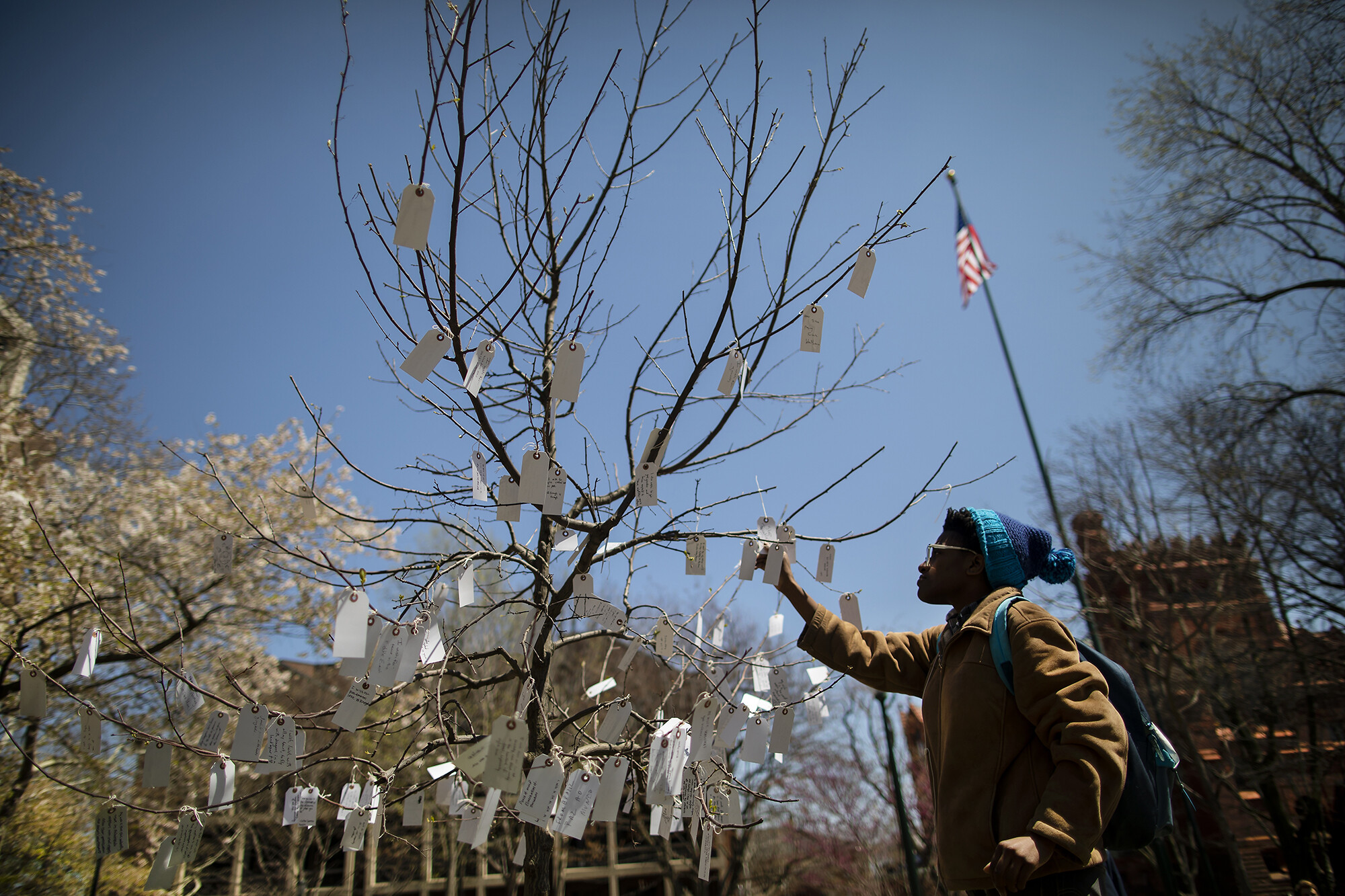 Wish_Tree