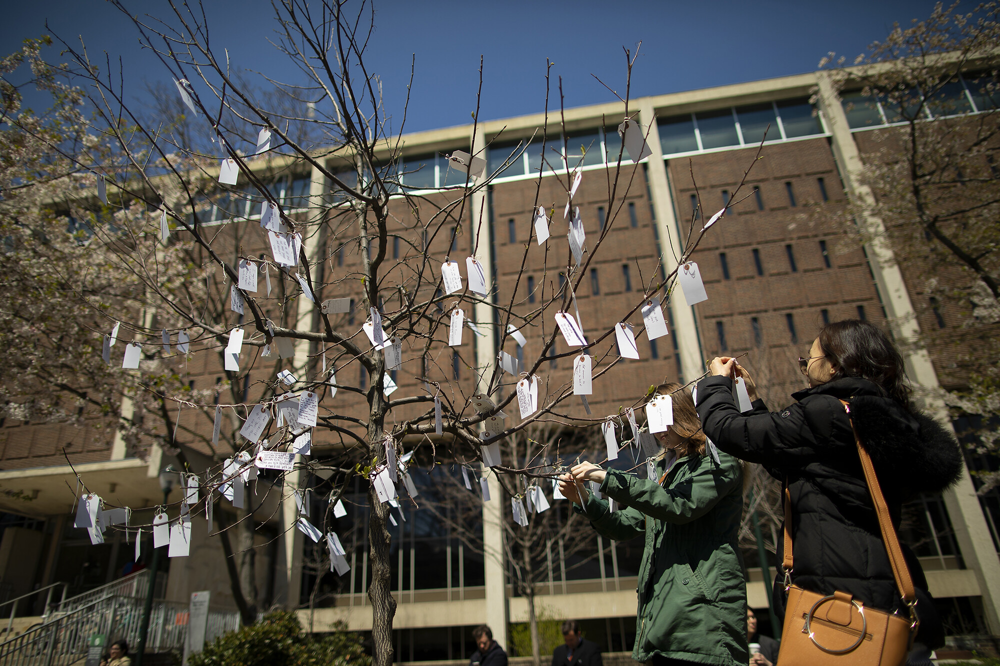Wish_Tree_Tag