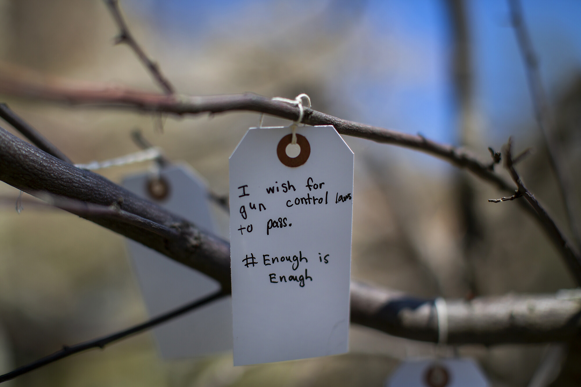 Wish_Tree