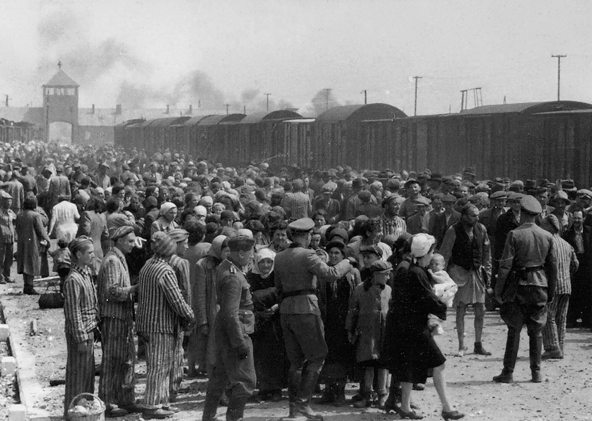 Teaching the Holocaust