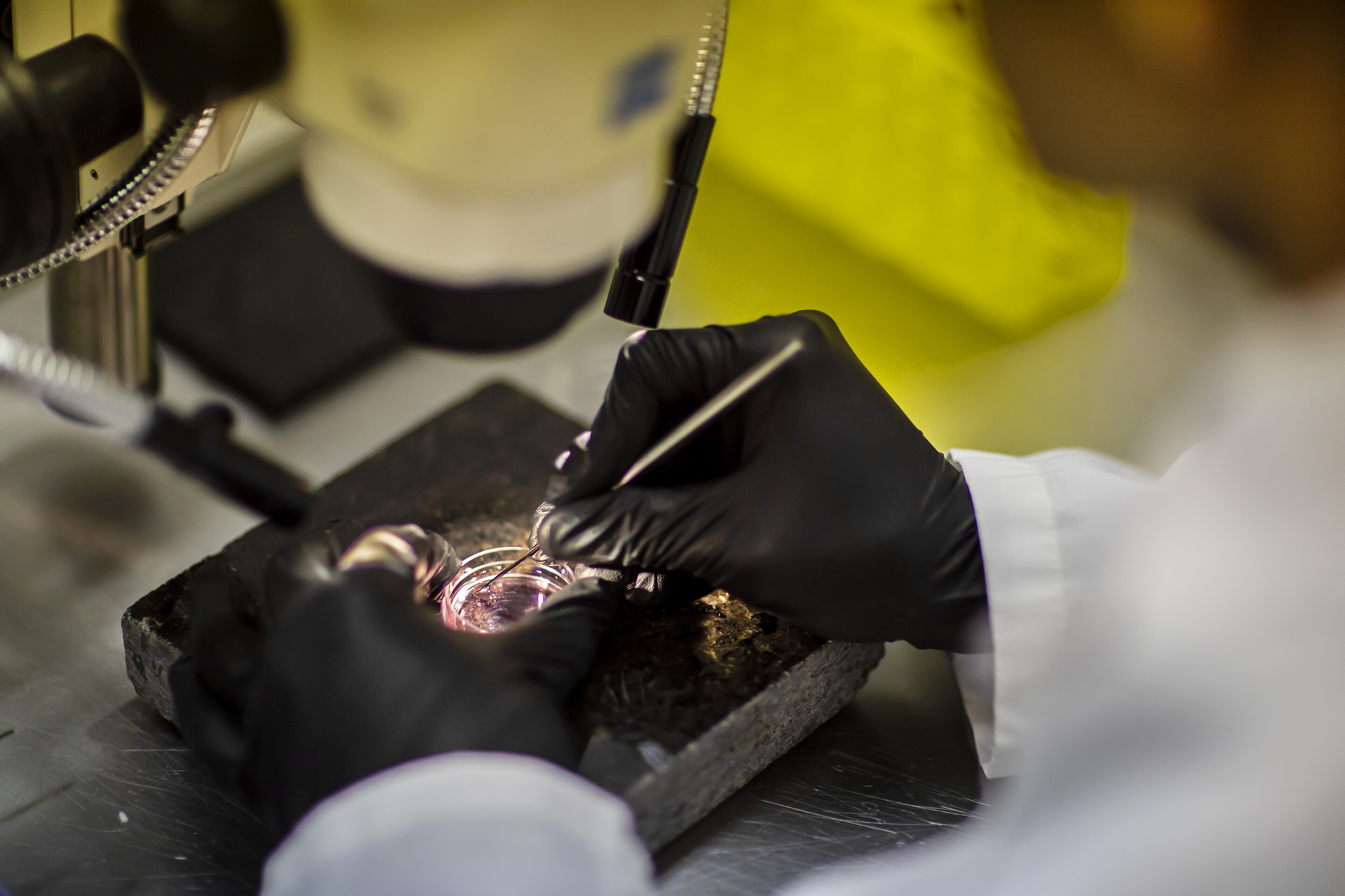 A radical, innovative approach by a neurosurgeon takes a big step forward 