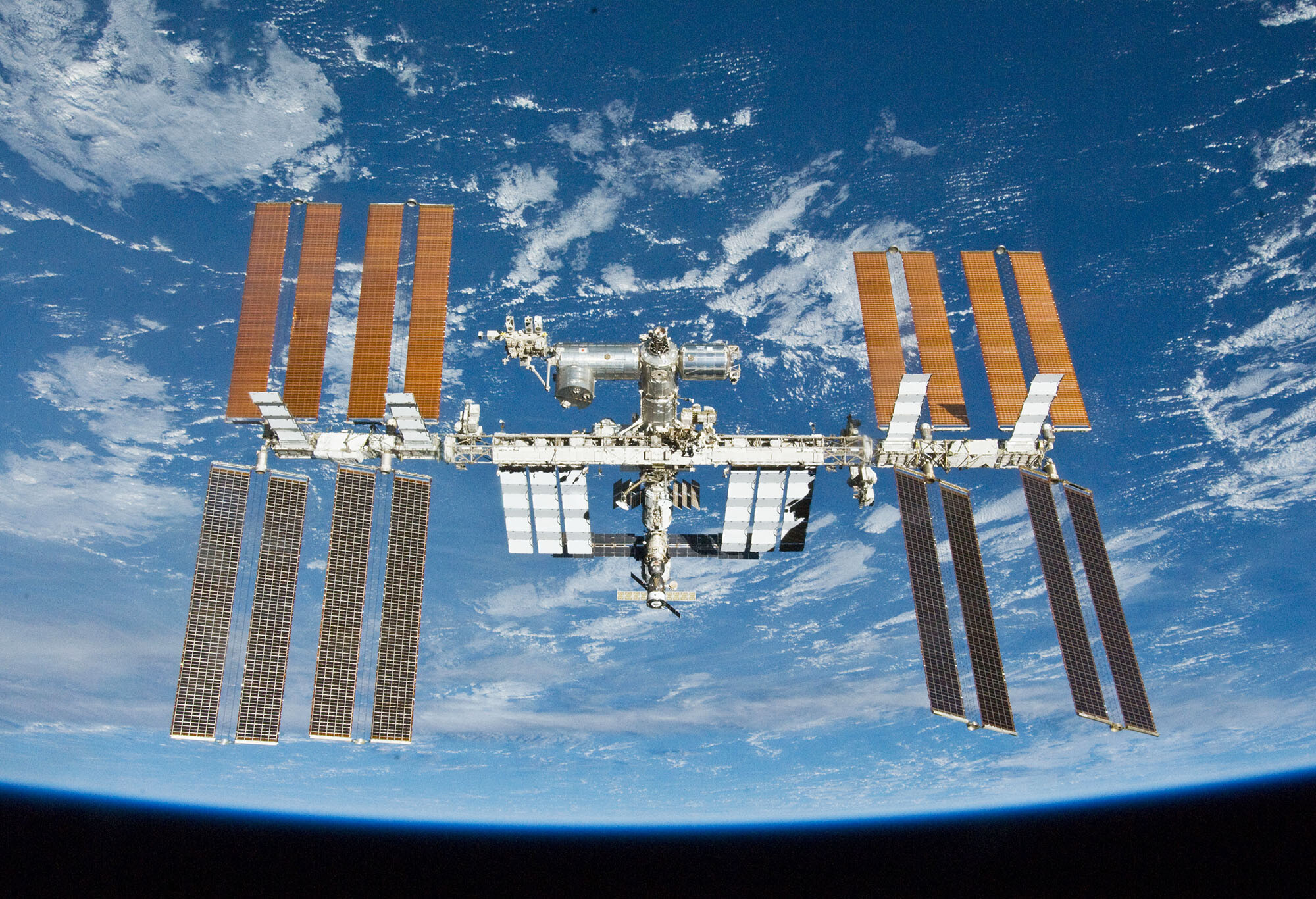 Penn ISS Immune system microgravity