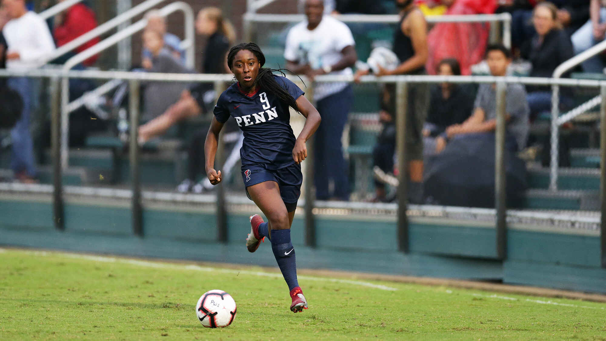 Sasha Stephens