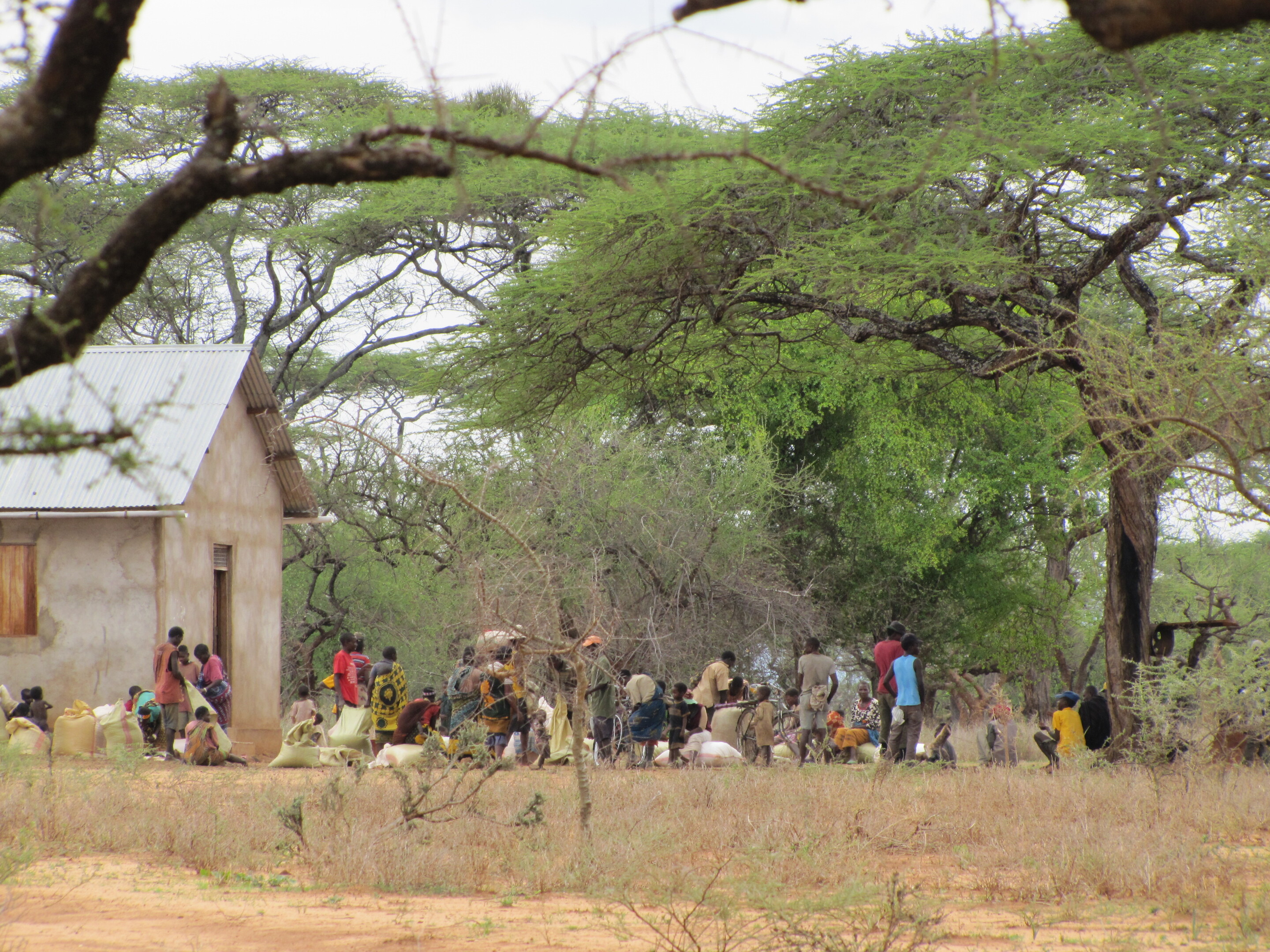 A group of people, some holding sacks, next to a small rustic house and under trees
