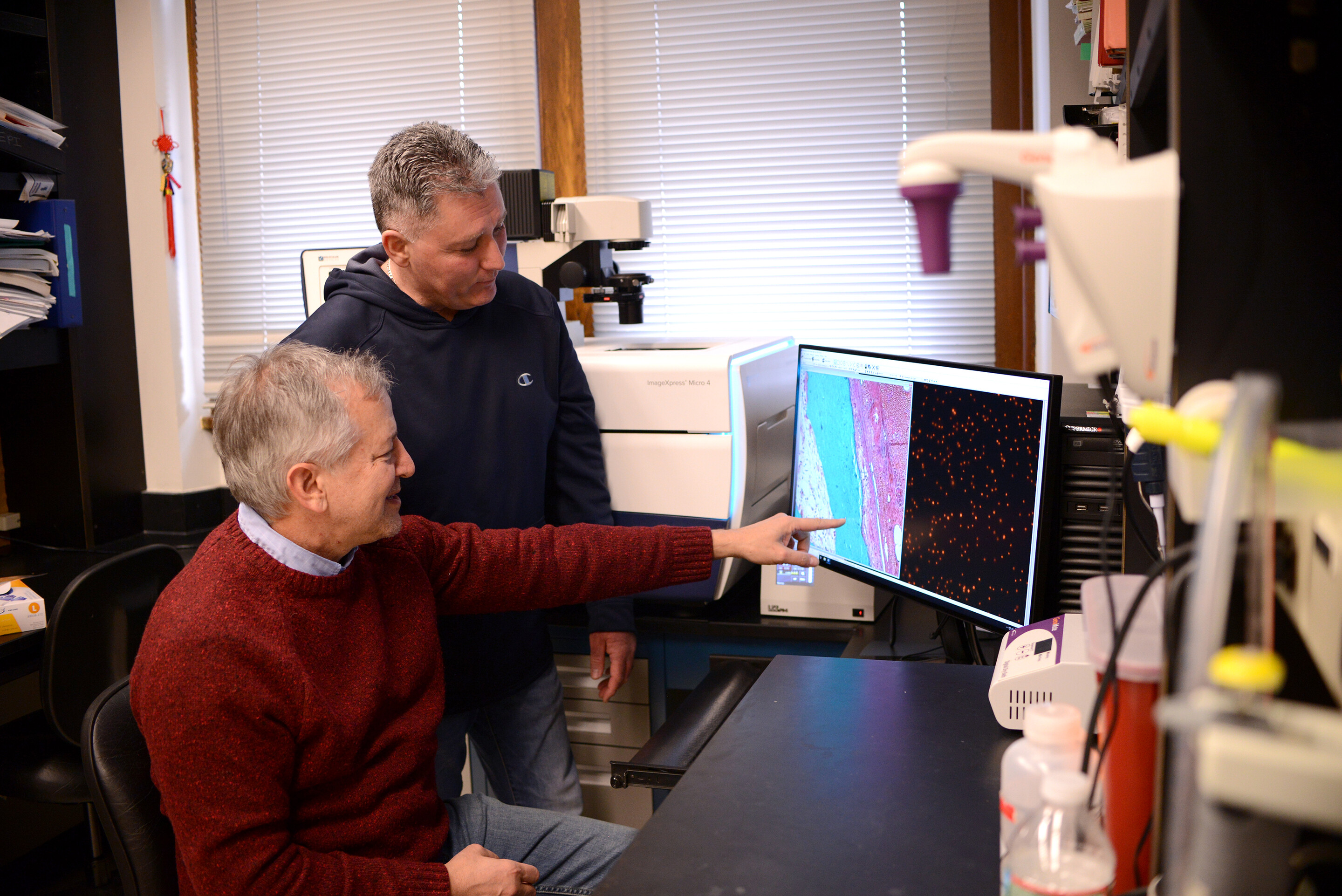 ebola researchers bruce freedman and ron harty