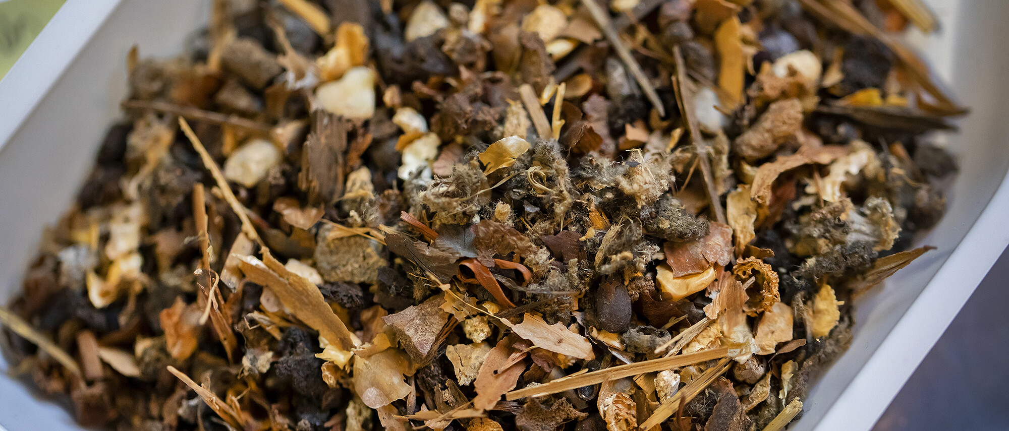 seeds that were found at bartram garden