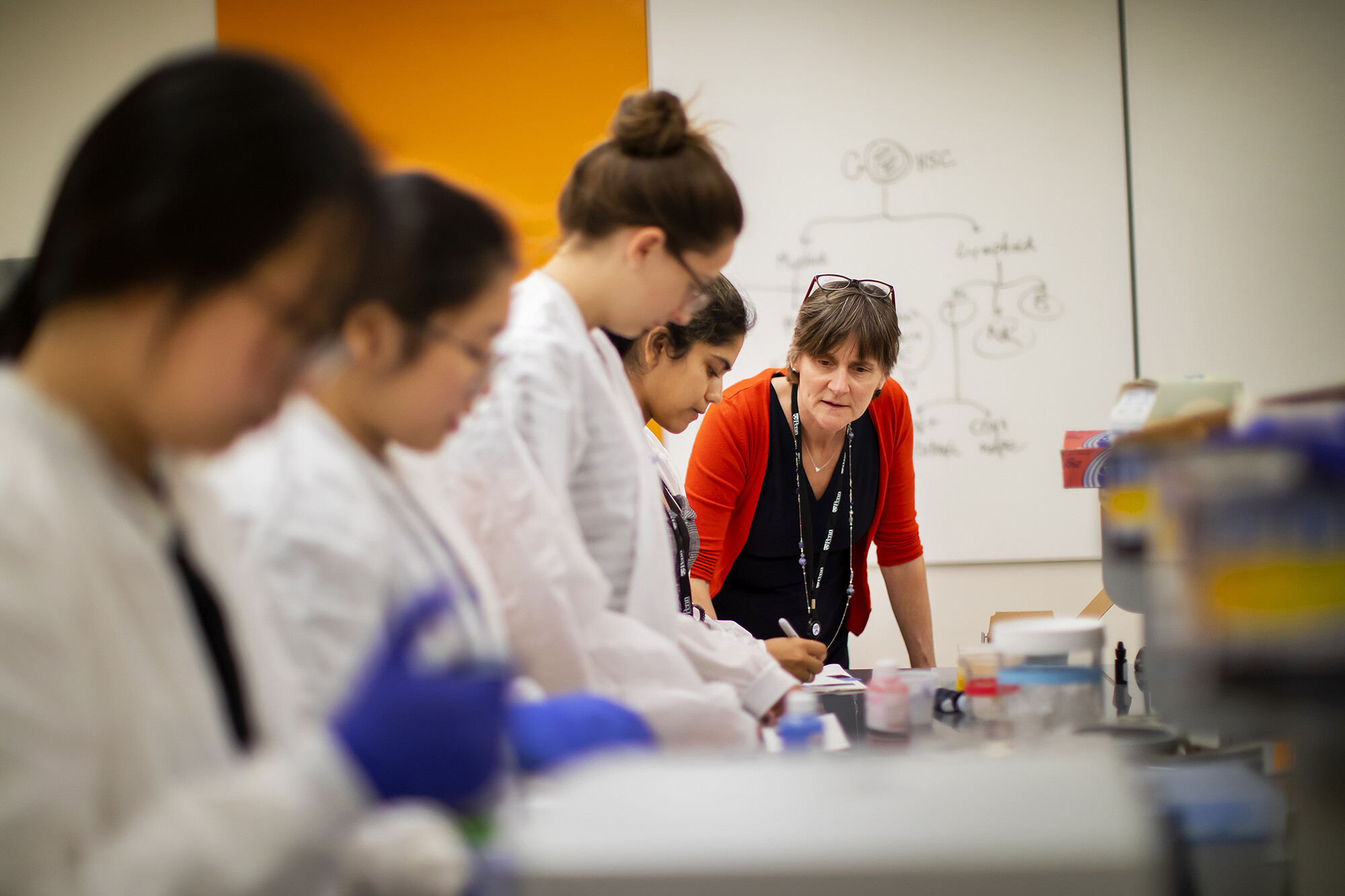 jennifer punt in the canine lab watching students